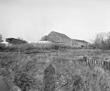 885133 Gezicht op het Griftpark te Utrecht met op de achtergrond enige gebouwen van de voormalige Gasfabriek.